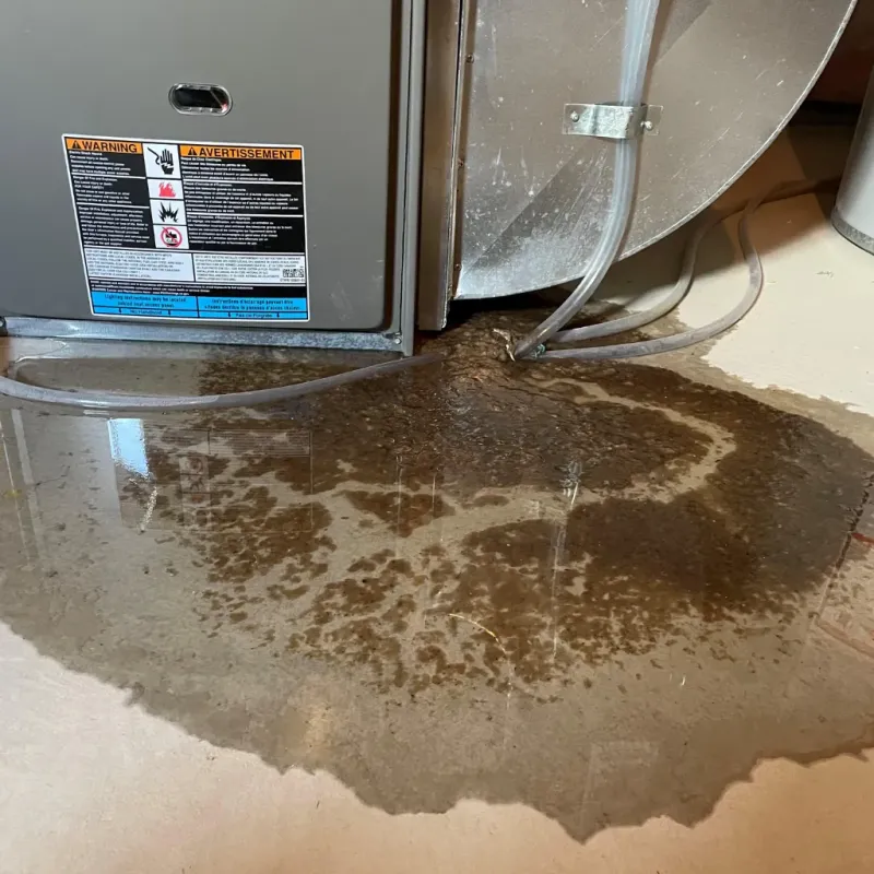 Appliance Leak Cleanup in Piscataquis County, ME